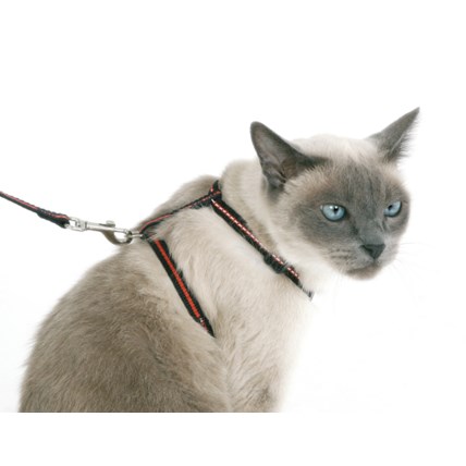 Set med Kattsele, koppel & halsband
