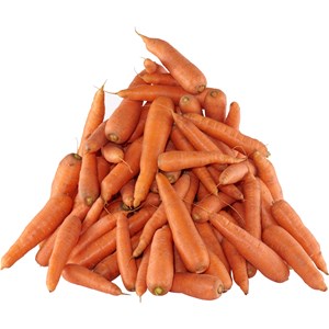 Fodermorötter, 20 kg