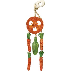Gnagarleksak Rosewood Carrot Dream Catcher