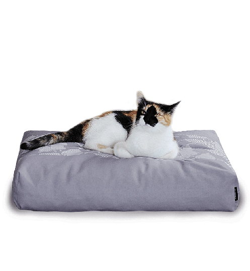 PADI modern catbed grå