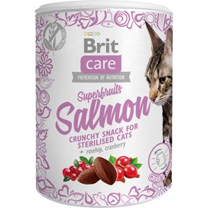 Kattgodis Brit Care Superfruits Salmon 100 g