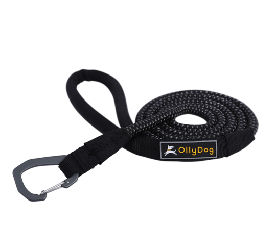 OllyDog - Mountain Leash Hundkoppel Svart