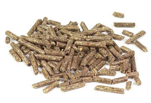 Mästers Chinchillapellets - 5 kg