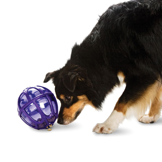 Busy Buddy Kibble Nibble Feeder Ball (S)