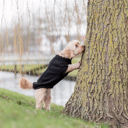 Trixie Kenton Hundtröja Svart (24 cm)