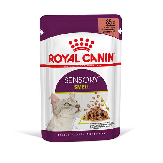 Royal Canin Sensory Smell i sås - 48 x 85 g