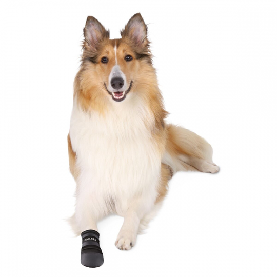 Trixie Hundsko Neopren 2-pack (L)