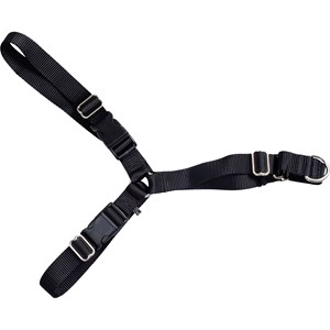 Hundsele Active Canis L