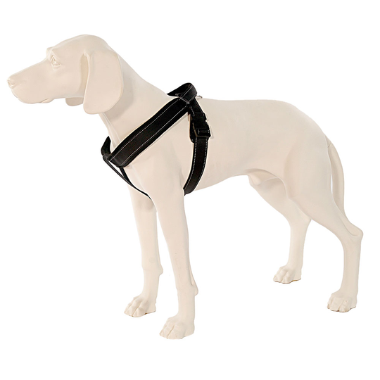PatentoPet® Sport sele, svart - Stl. L: bröstomfång 66-85 cm
