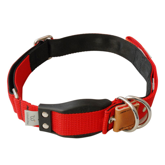 WowWow Professional, rött hundhalsband - Stl. S: 33 - 37 cm halsomfång, B 35 mm