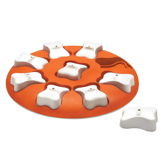 Dog Smart Nivå 1 - Dog Smart - Plast