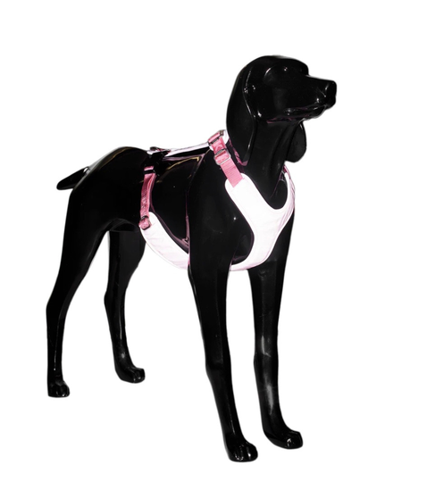Reflekterande Hundsele - Rosa XS