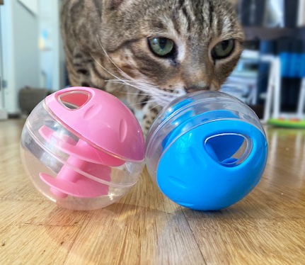 Aktivitetskula Cat It