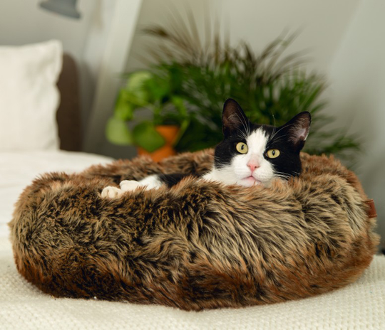 Catbed JOY - Designed by Lotte