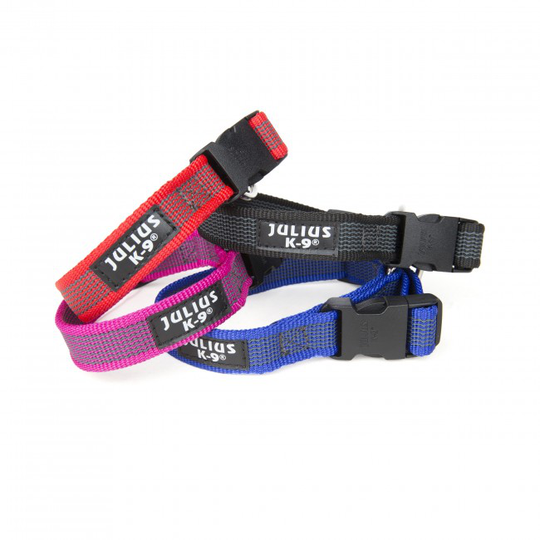 Julius-K9 Color & Gray® Hundhalsband 20 mm (Röd)