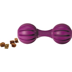 Hundleksak PetSafe Busy Buddy Waggle M/L