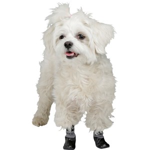 Hundsocka, Svart - SVART, S