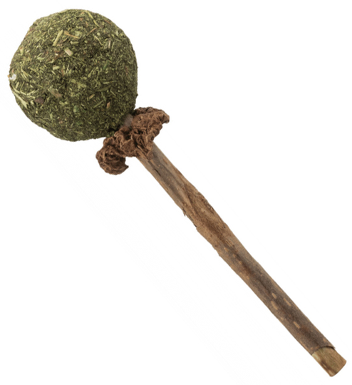 Kattleksak Matatabi Lolly